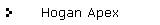 Hogan Apex